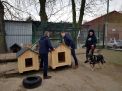 adopciaki 1